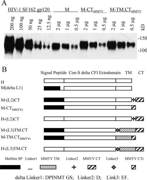 FIG. 3.