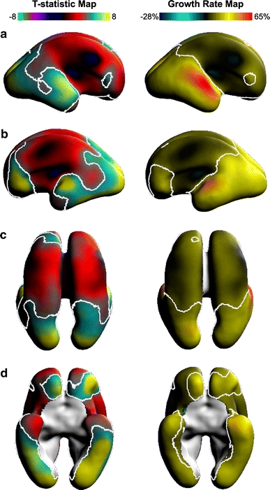 Fig. 7