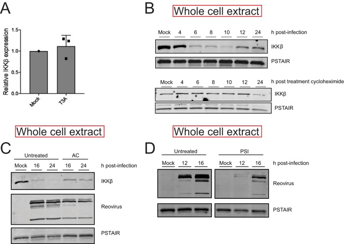 FIG 6