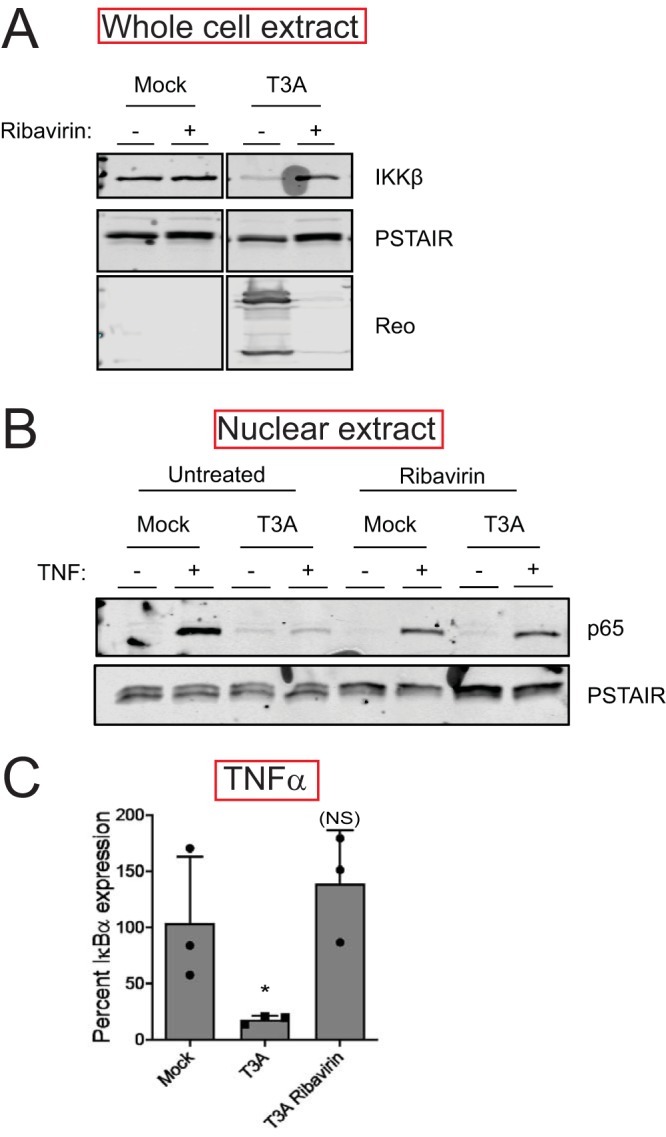 FIG 5