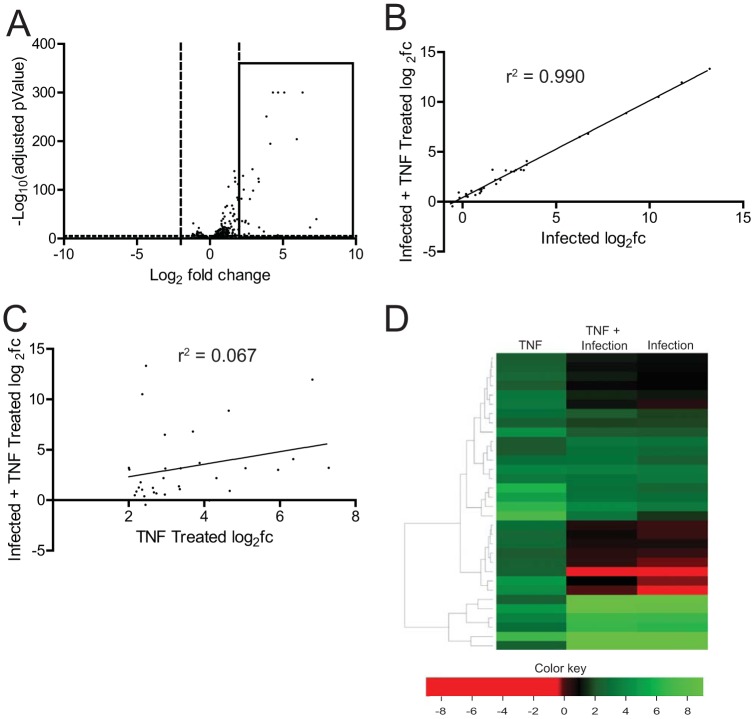 FIG 2