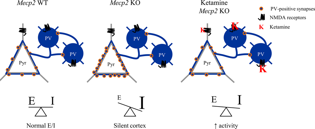 Figure. 7.