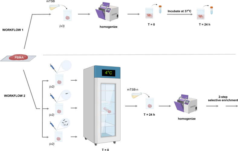 graphic file with name mmcfigs1.jpg