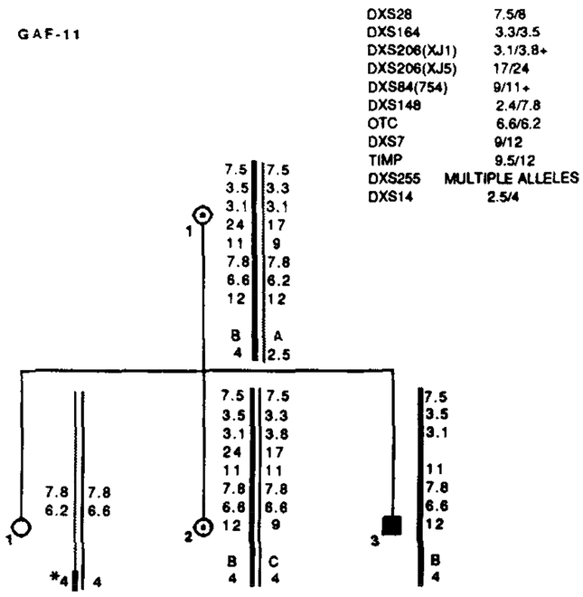 FIG. 8.