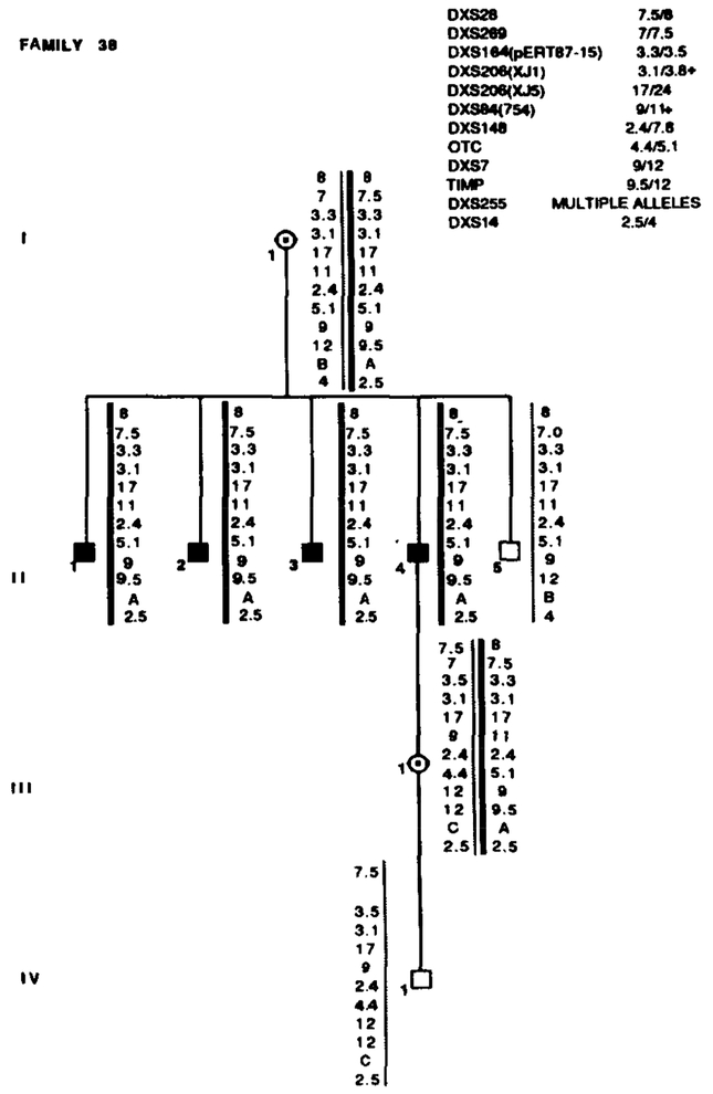 FIG. 13.