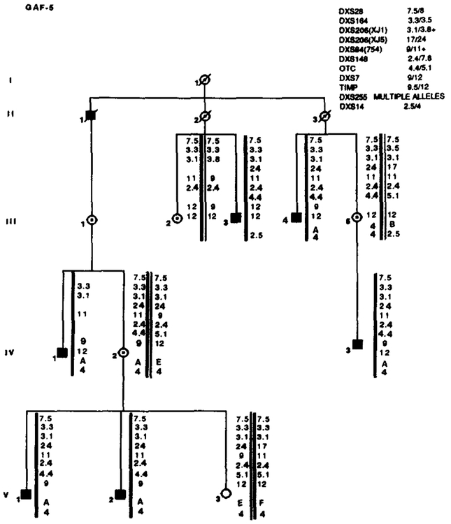 FIG. 4.