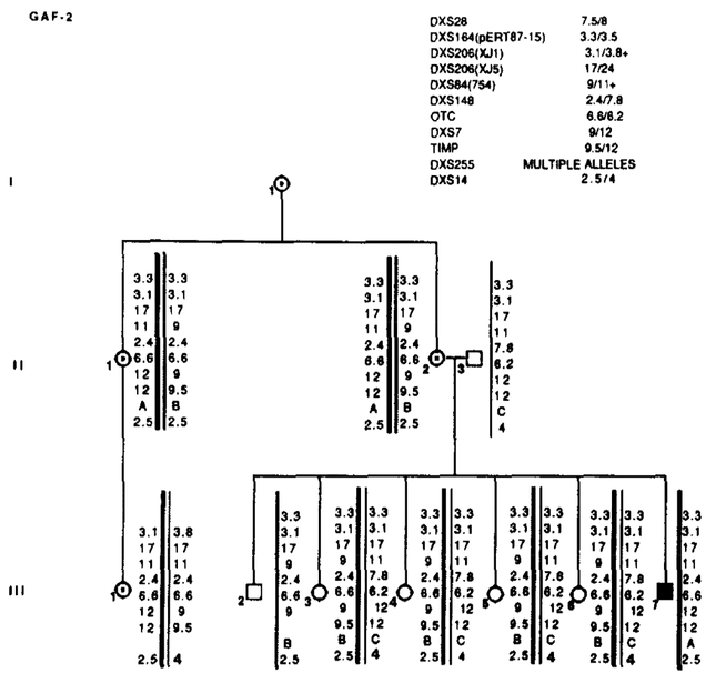 FIG. 2.