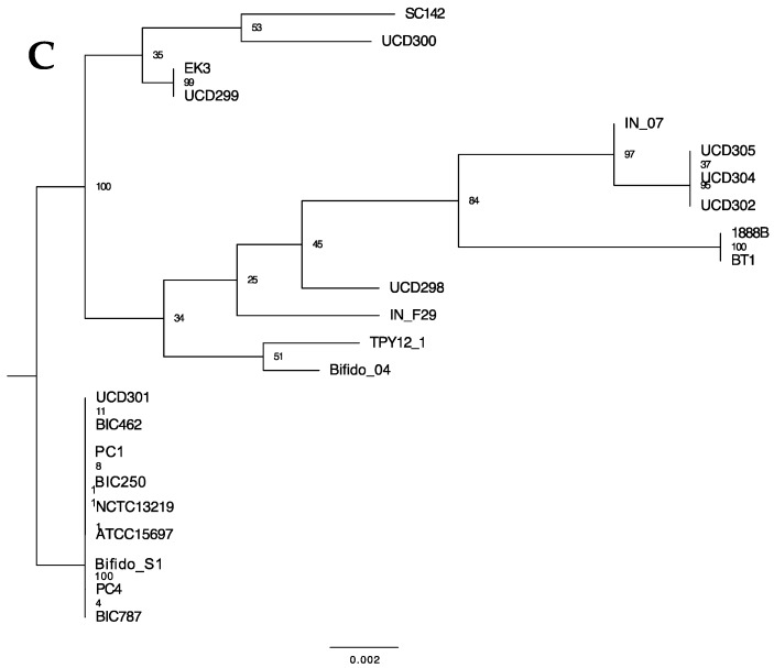 Figure 11