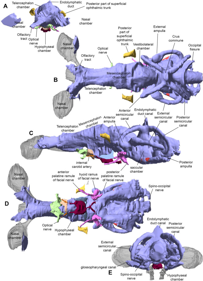 Fig. 6