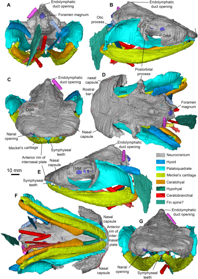 Fig. 5