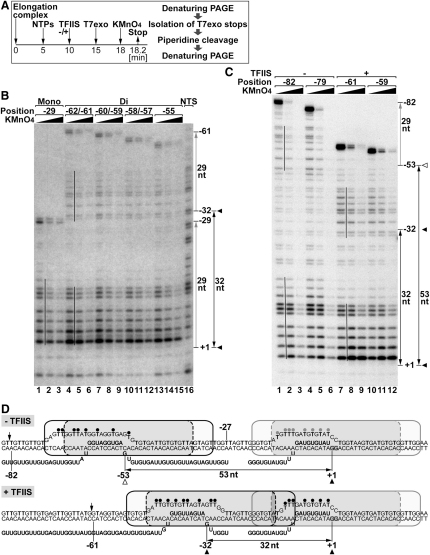 Figure 5