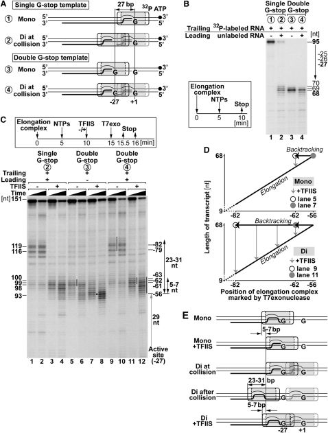 Figure 4