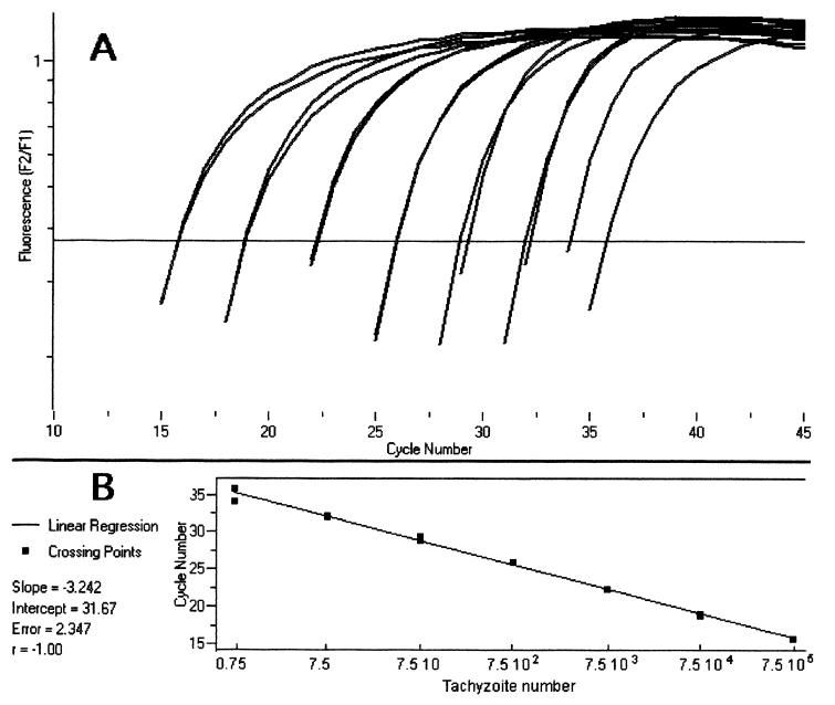 FIG. 1