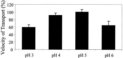 FIG. 7.