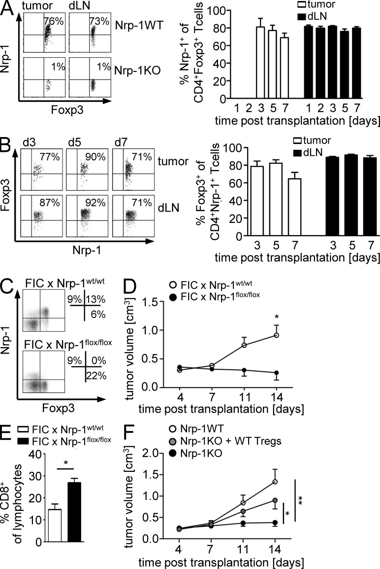 Figure 10.