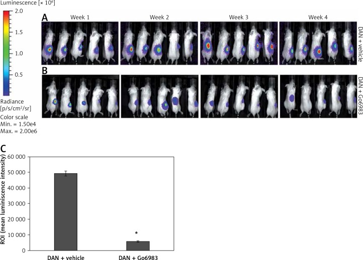 Figure 4