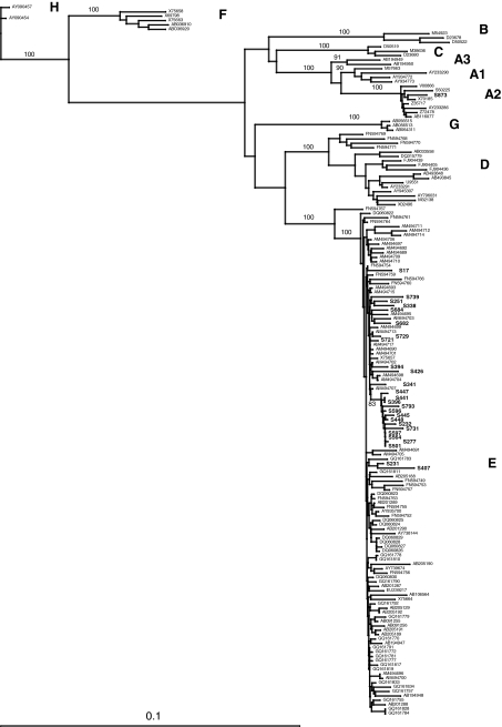 FIG. 2.