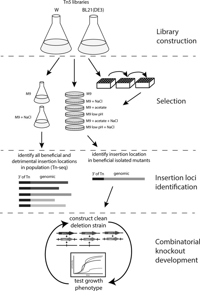 FIG 1