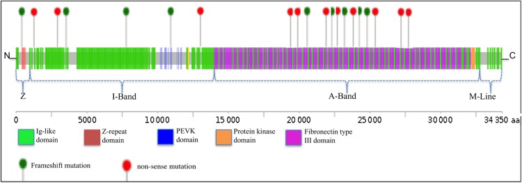 Figure 2