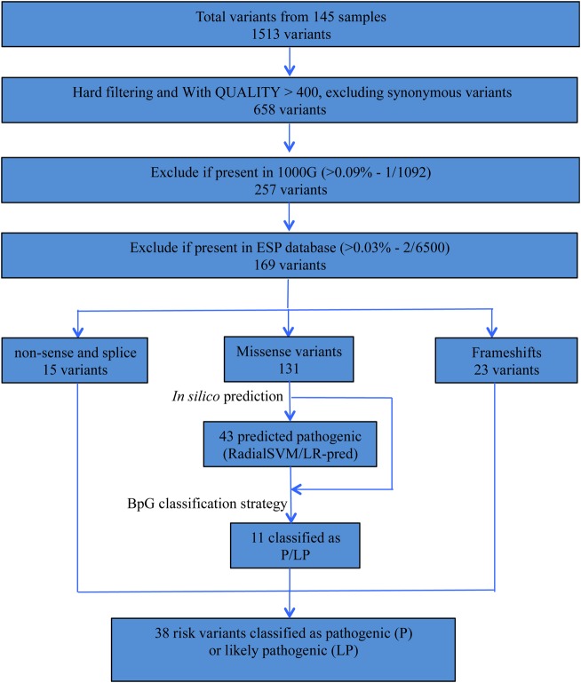 Figure 1