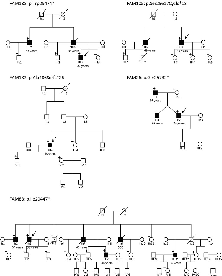 Figure 3