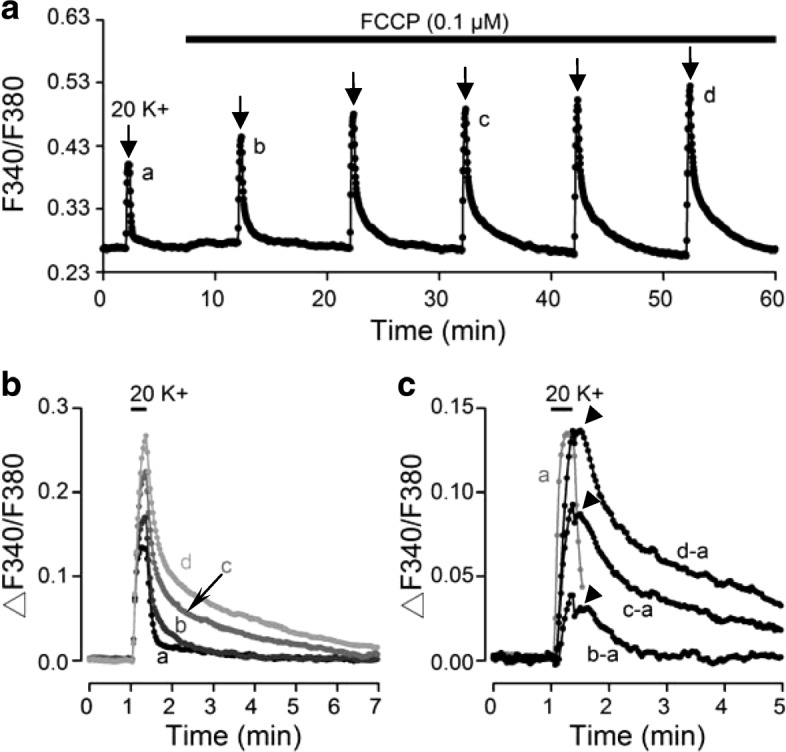 Fig. 6