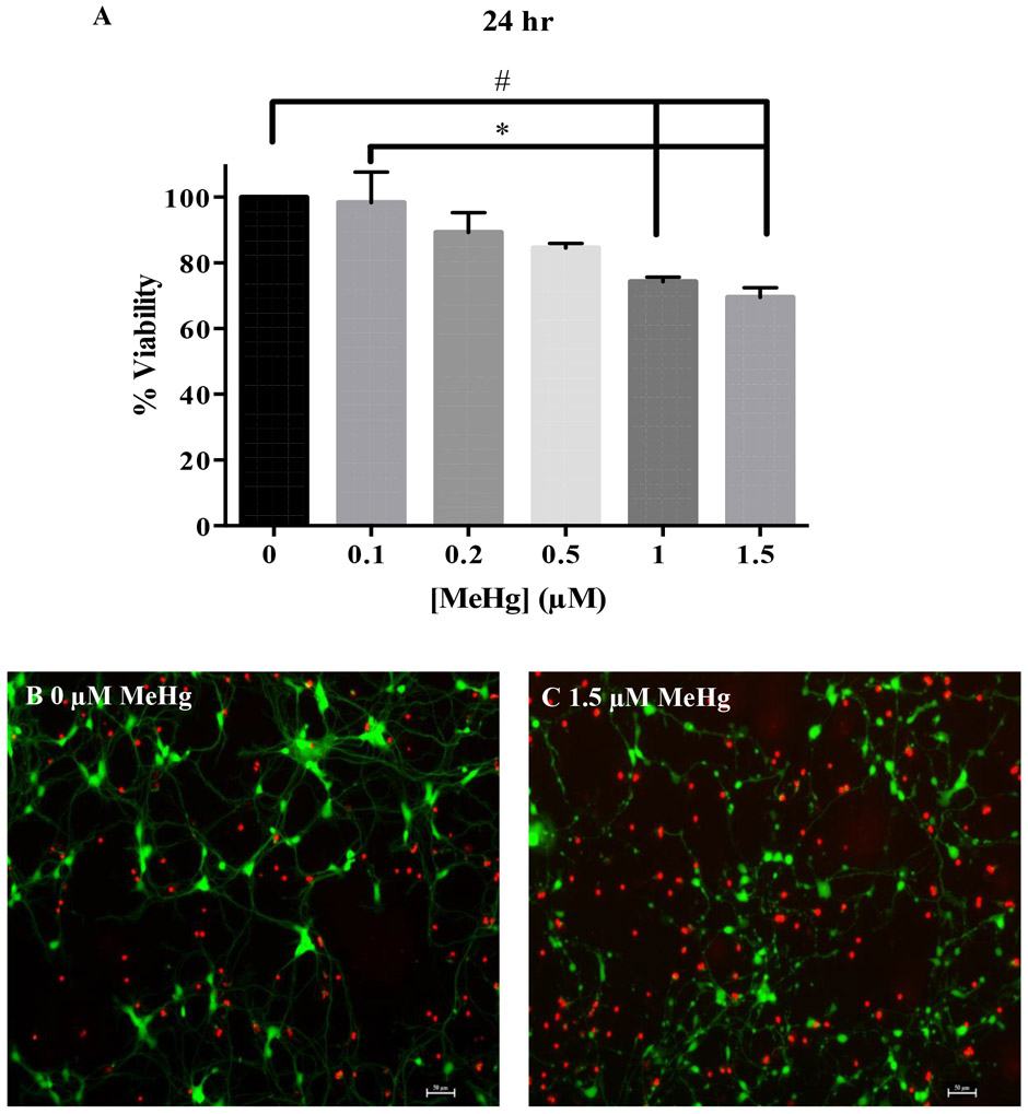 Figure 7.