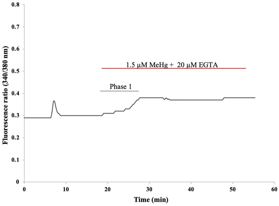 Figure 12.