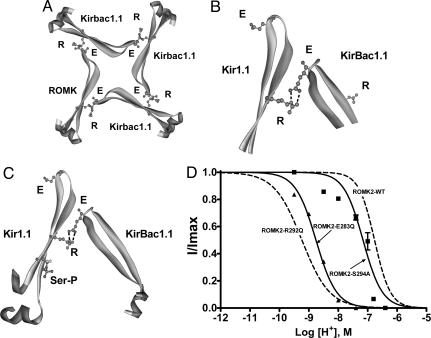 Fig. 5.