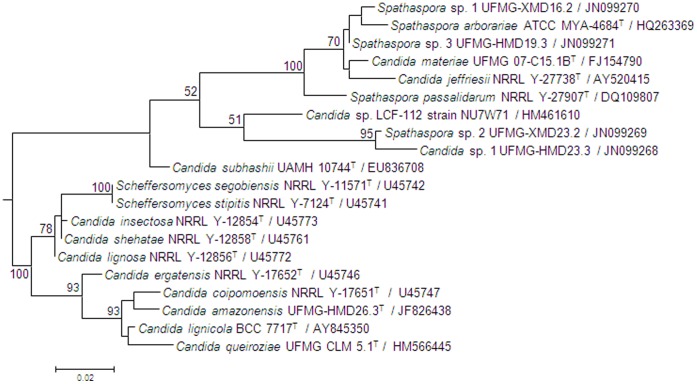 Figure 1