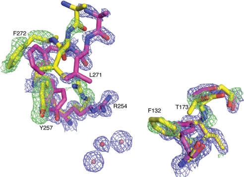 Fig. 3.