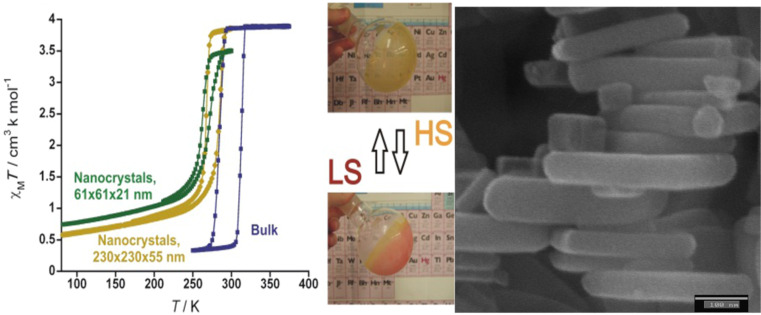 Figure 31