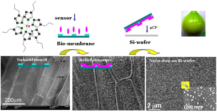 Figure 33