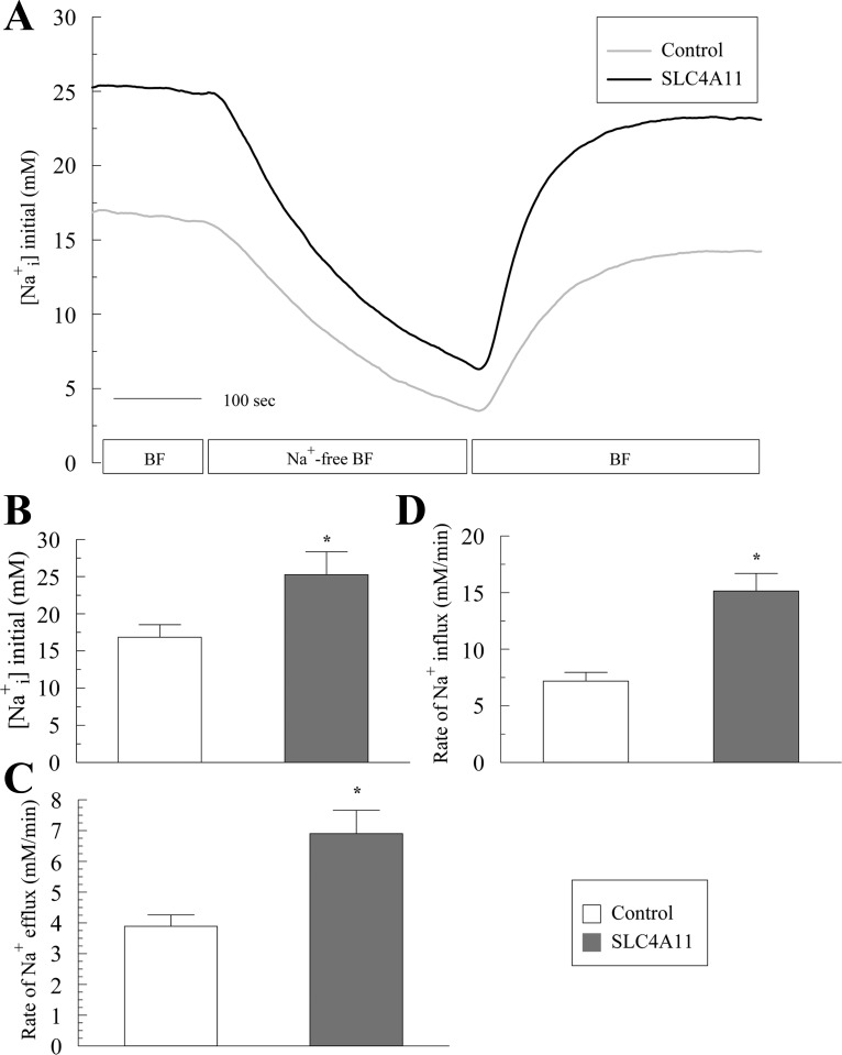 Fig. 8.