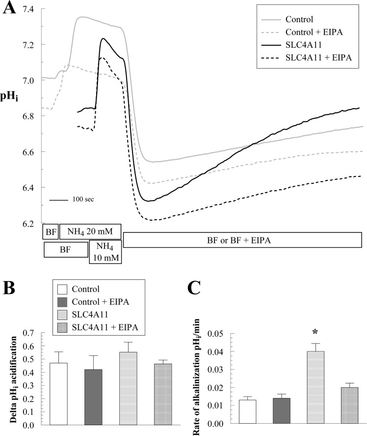 Fig. 10.