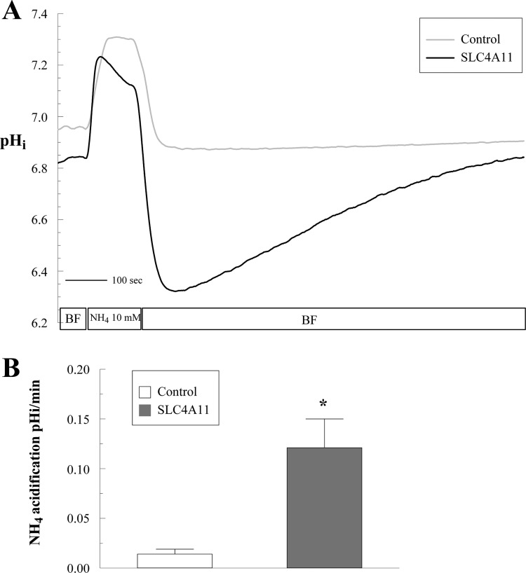 Fig. 9.