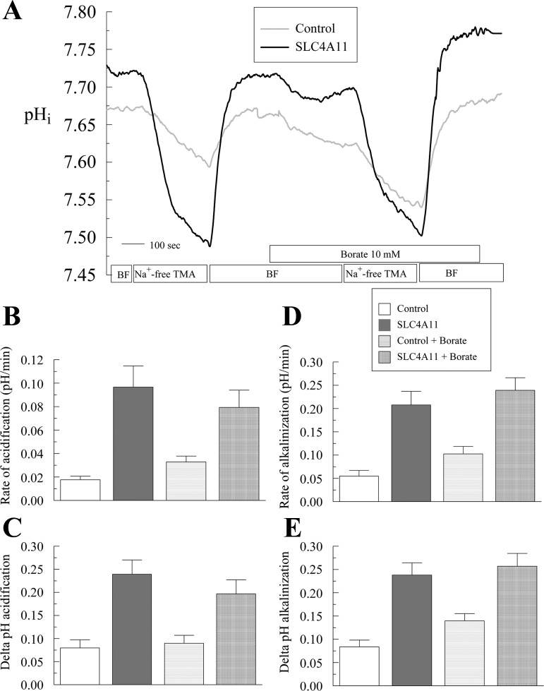 Fig. 13.