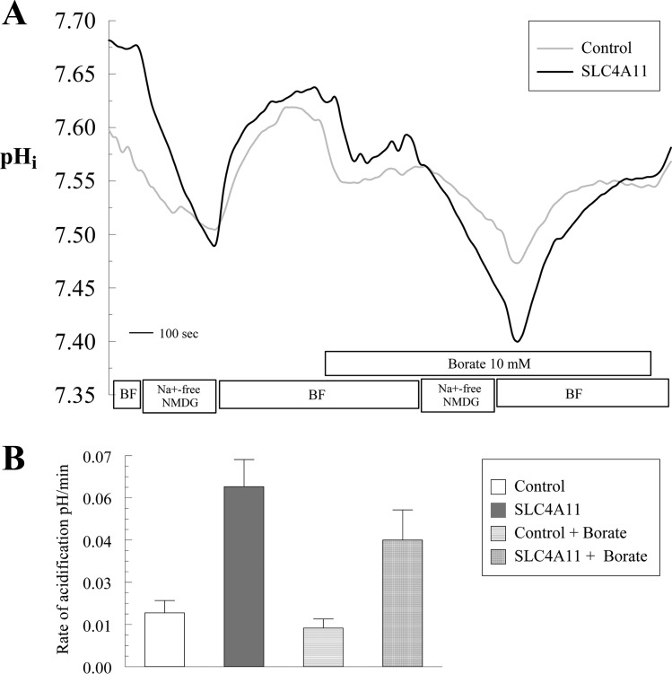 Fig. 12.