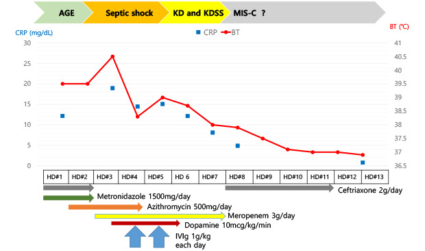 graphic file with name jkms-35-e391-abf001.jpg