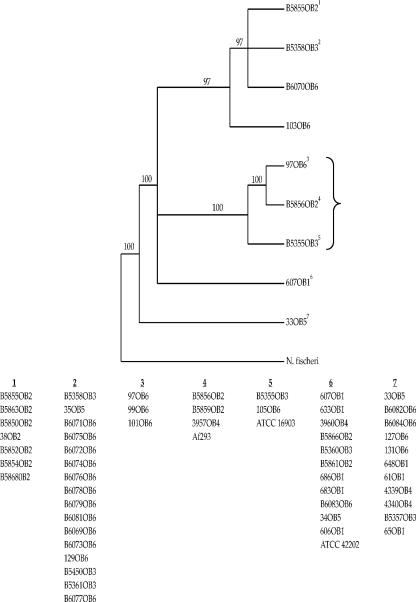 FIG. 3.