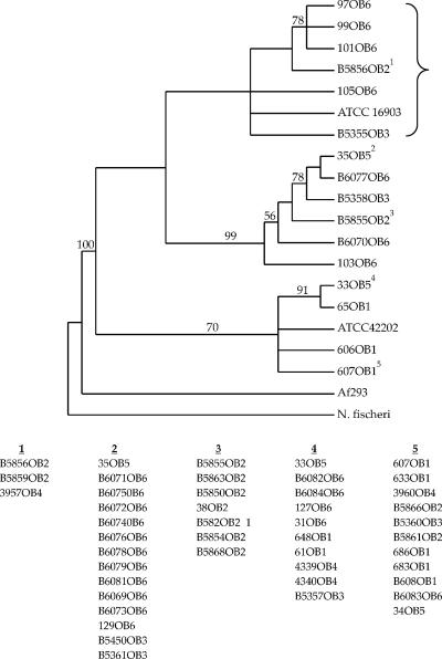 FIG. 2.