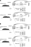 FIG. 4.