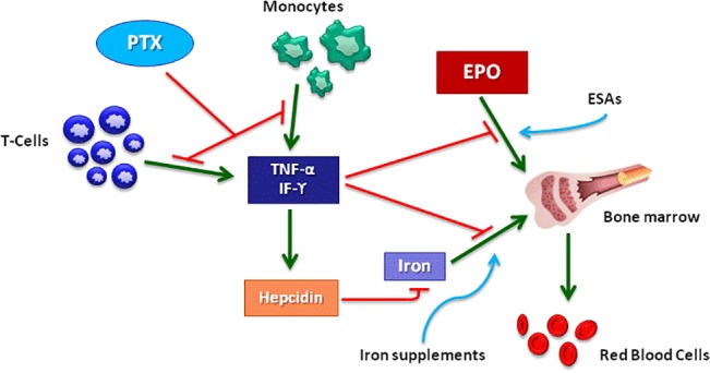 Fig 8