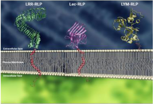 Figure 1: