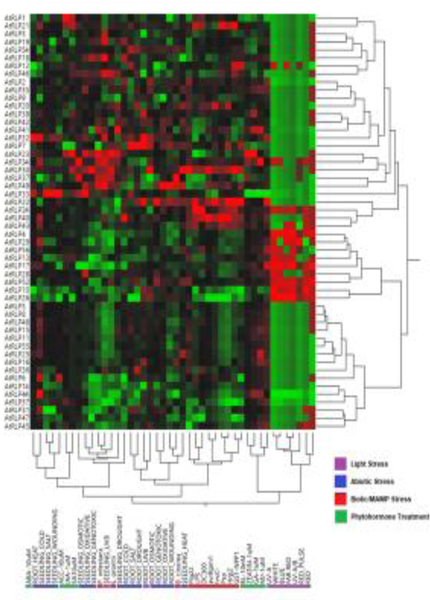 Figure 2: