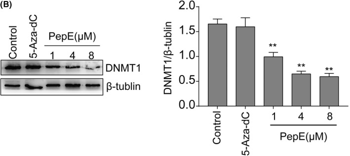 graphic file with name CAS-111-1032-g003.jpg
