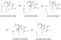 Figure 1—figure supplement 1.