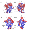 Figure 2—figure supplement 3.