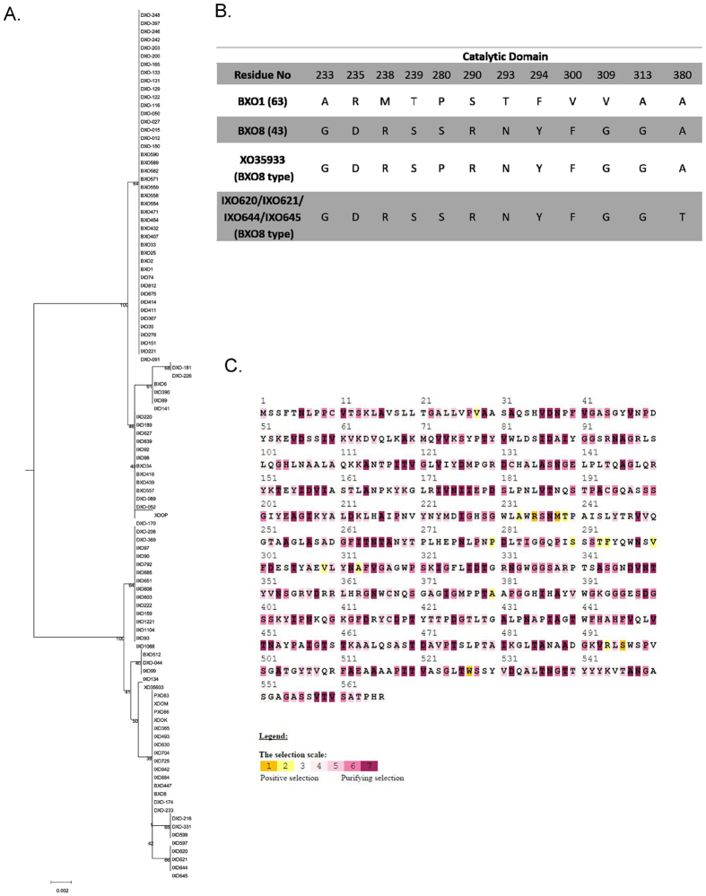 Figure 5