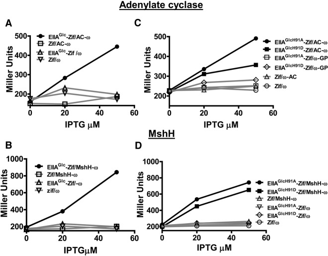 FIG 2